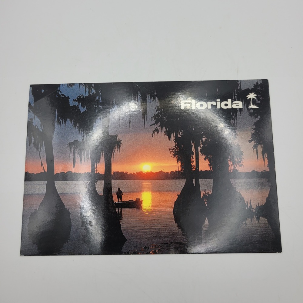 Florida Sunset Cypress Trees Postcard Scenic Impressions 174